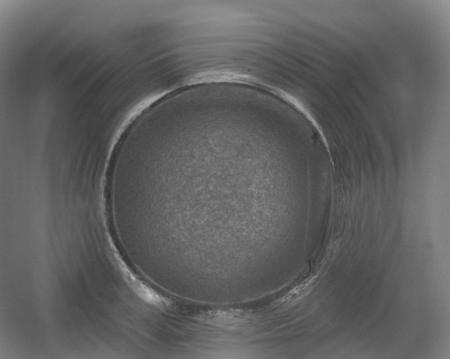 X0000054360995200508051524
