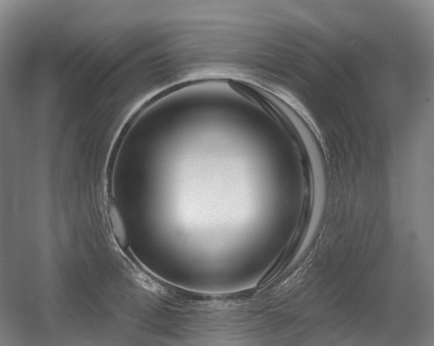 X0000054360996200508051524