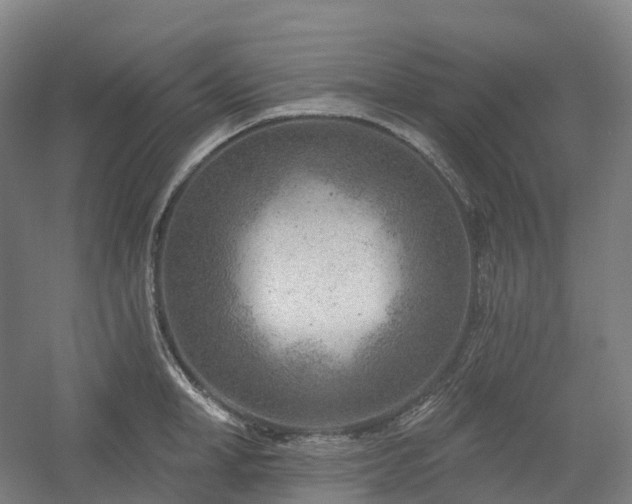 X0000054360998200508051524