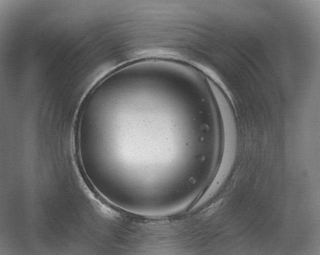 X0000054360999200508051524