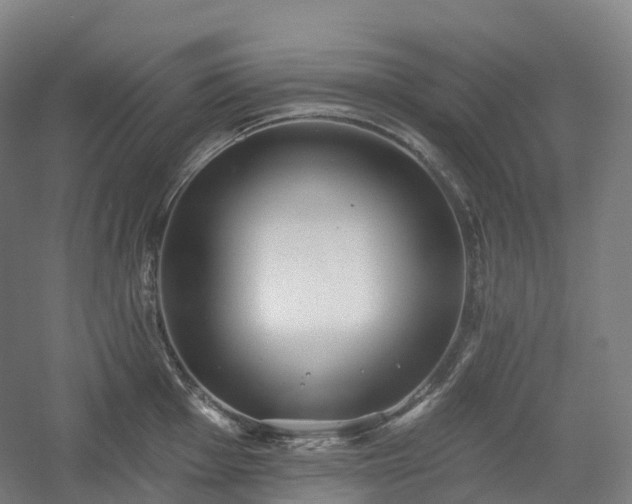 X0000054361001200508051524