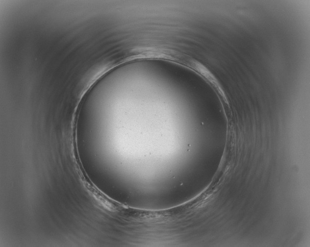 X0000054361002200508051524