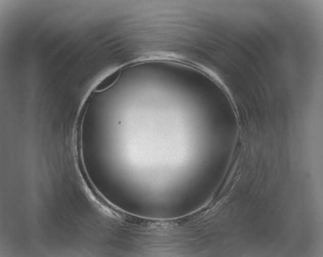 X0000054361003200508051524