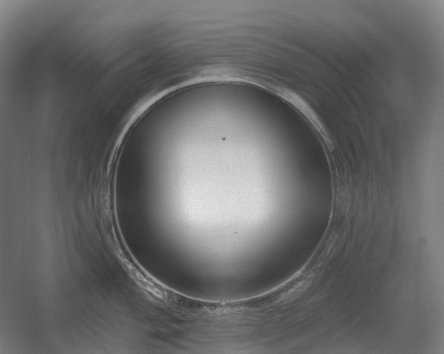 X0000054361004200508051524