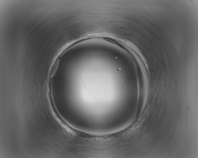 X0000054361005200508051524