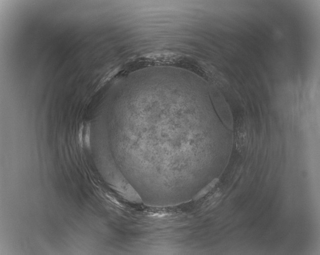 X0000054361010200508051523