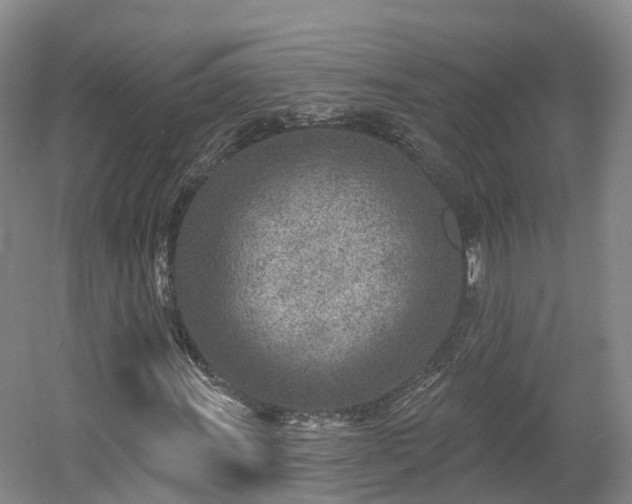 X0000054361011200508051523