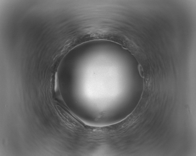 X0000054361012200508051523
