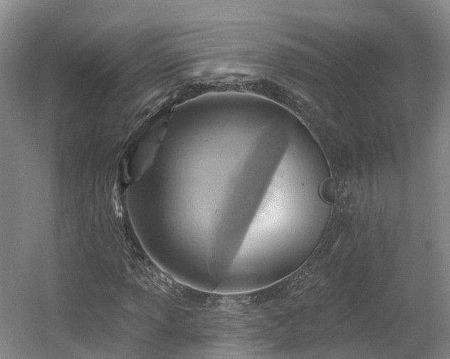 X0000054361013200508051523