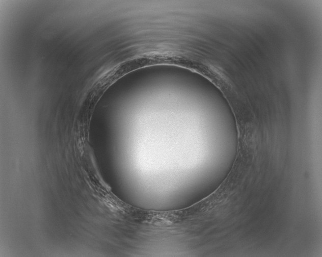 X0000054361015200508051523