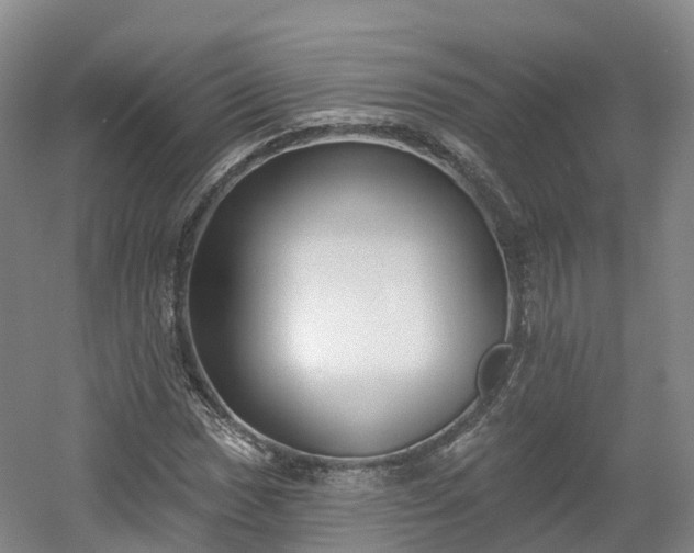 X0000054361017200508051523