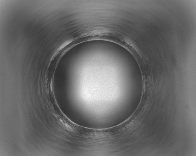 X0000054361018200508051523