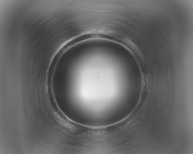 X0000054361020200508051523