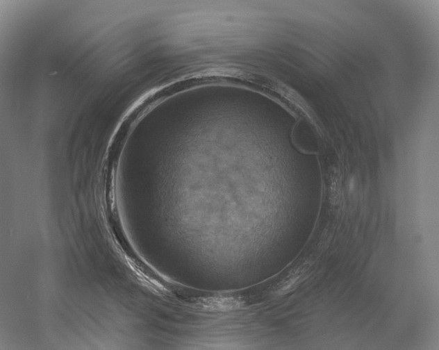 X0000054361024200508051523