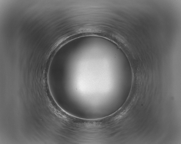 X0000054361025200508051523