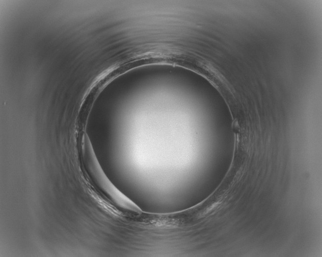 X0000054361026200508051523