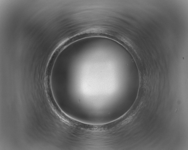 X0000054361029200508051524
