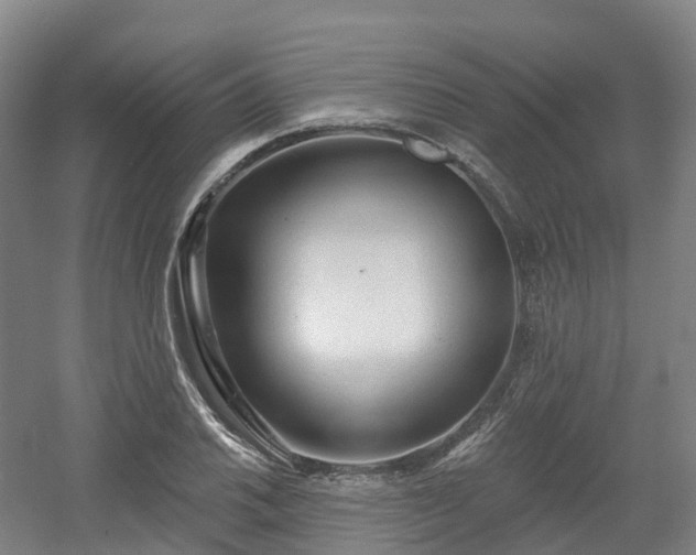 X0000054361030200508051524