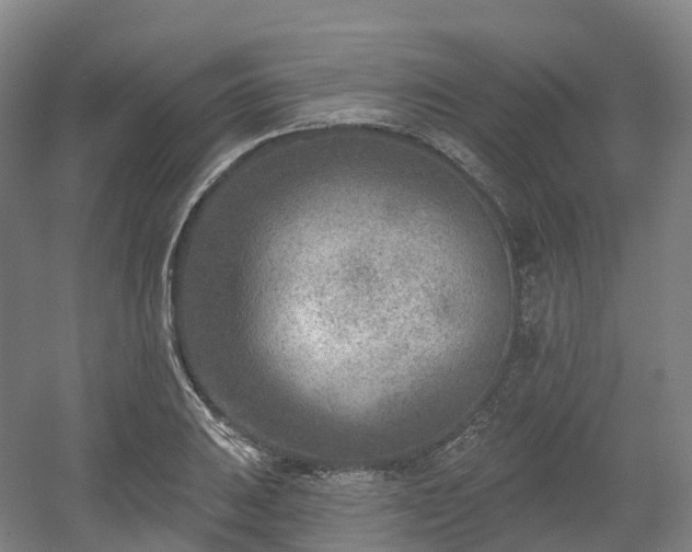 X0000054361031200508051524