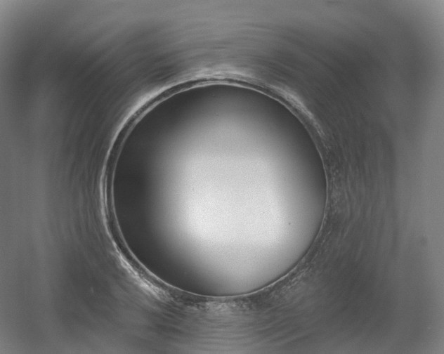 X0000054361032200508051524