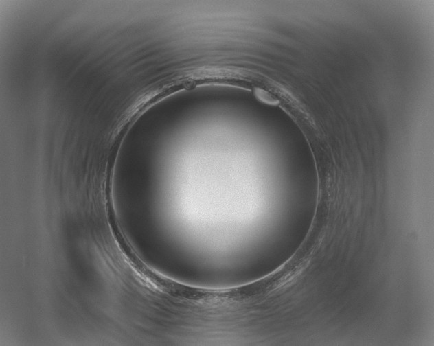 X0000054361033200508051524
