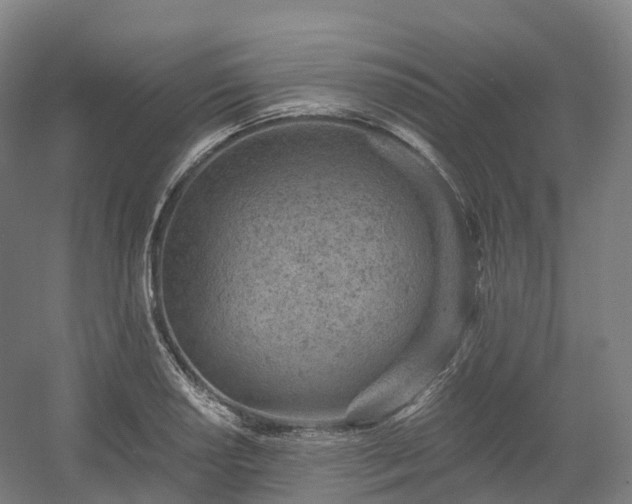 X0000054361034200508051524