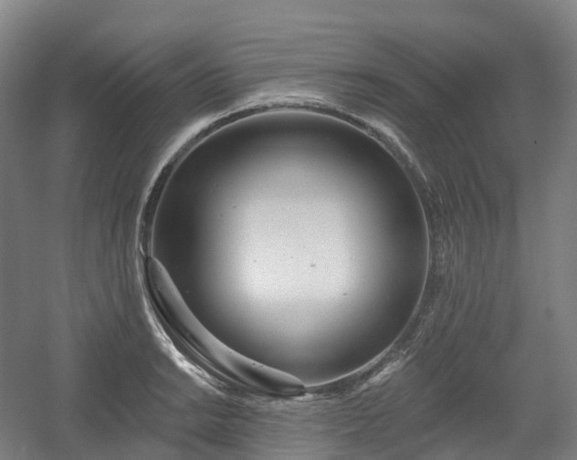 X0000054361038200508051524