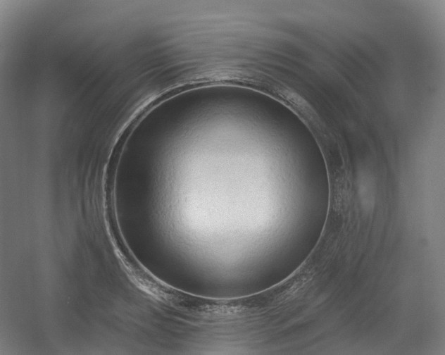X0000054361039200508051524