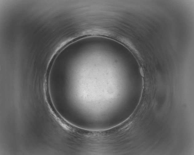 X0000054361040200508051524