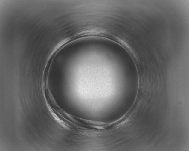 X0000054361042200508051524