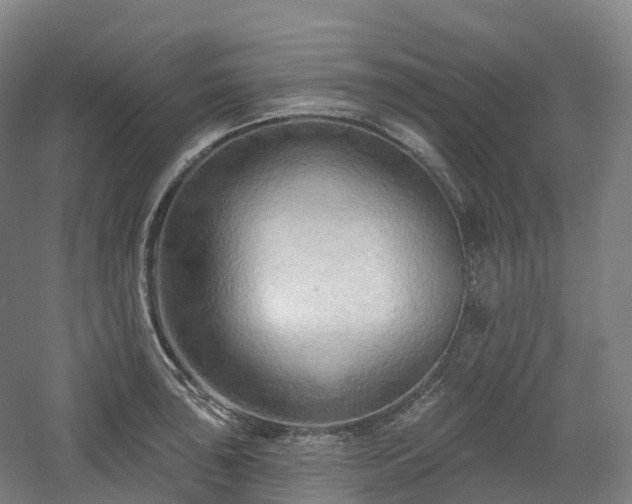 X0000054361043200508051524