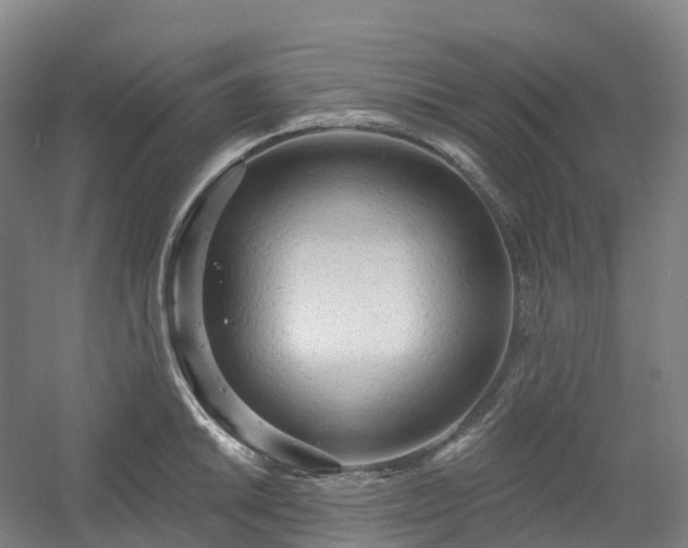 X0000054361046200508051524