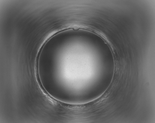 X0000054361048200508051524