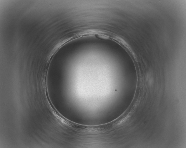 X0000054361049200508051524