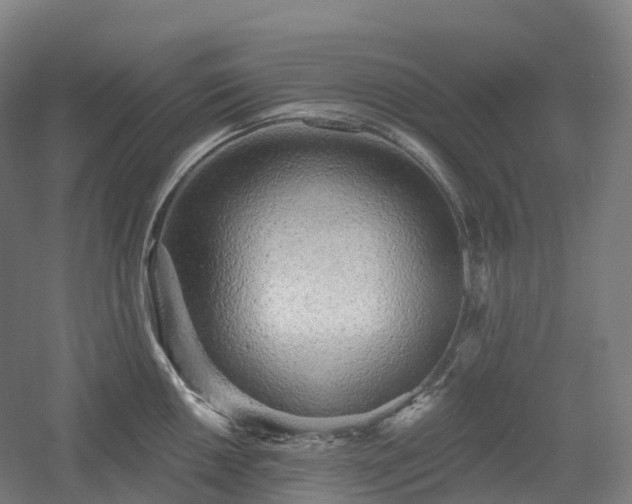 X0000054361050200508051524
