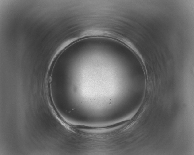 X0000054361053200508051524