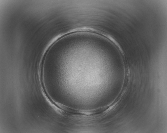 X0000054361054200508051524