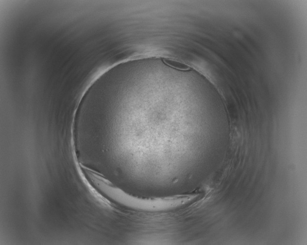 X0000054361055200508051524