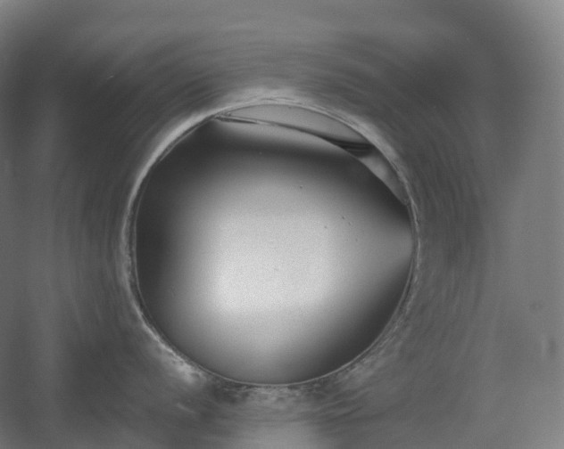 X0000054361056200508051524