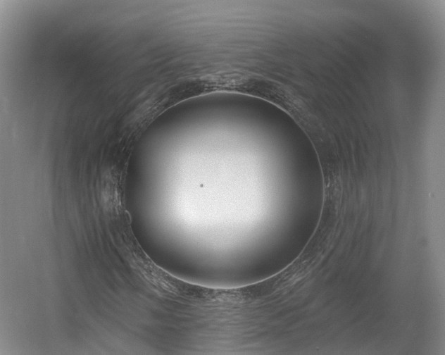 X0000054361058200508051523