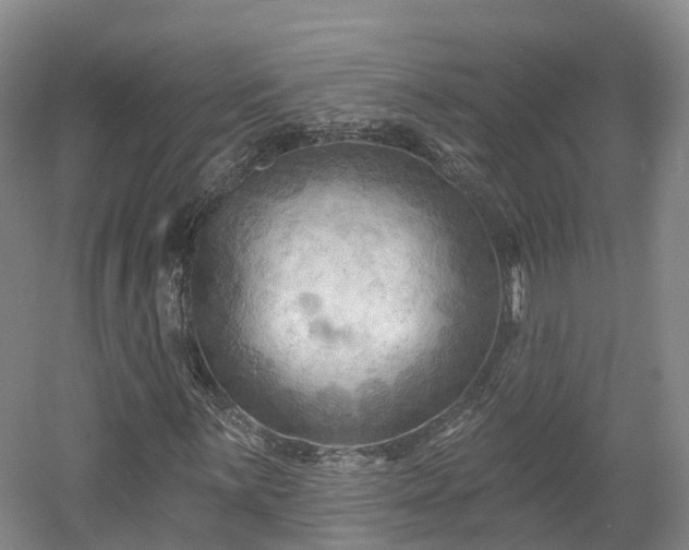 X0000054361059200508051523