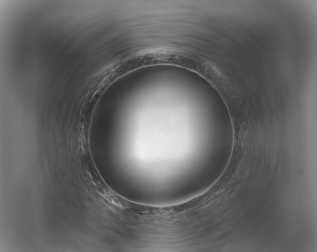 X0000054361062200508051523