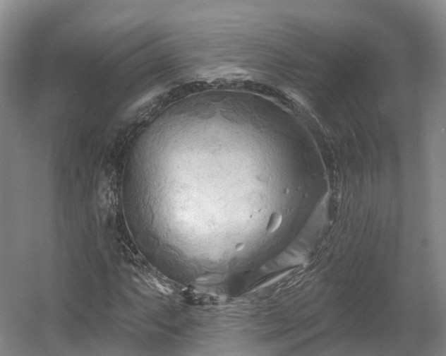 X0000054361063200508051523