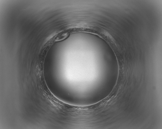 X0000054361064200508051523