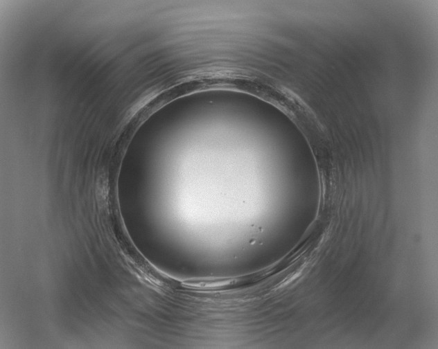 X0000054361065200508051523
