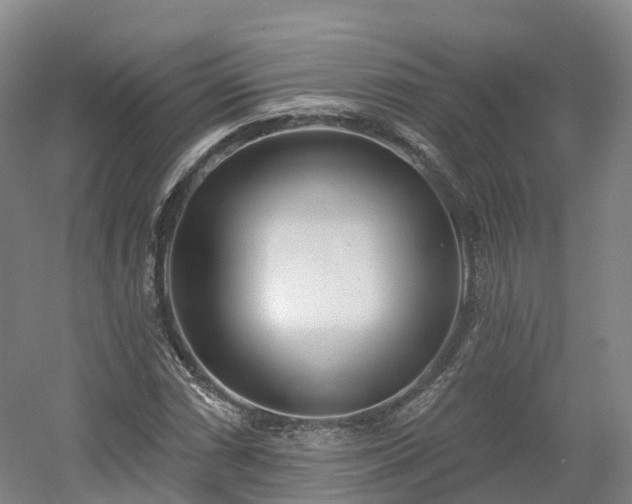 X0000054361066200508051523