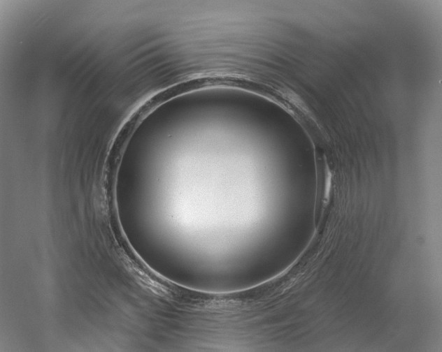 X0000054361068200508051523