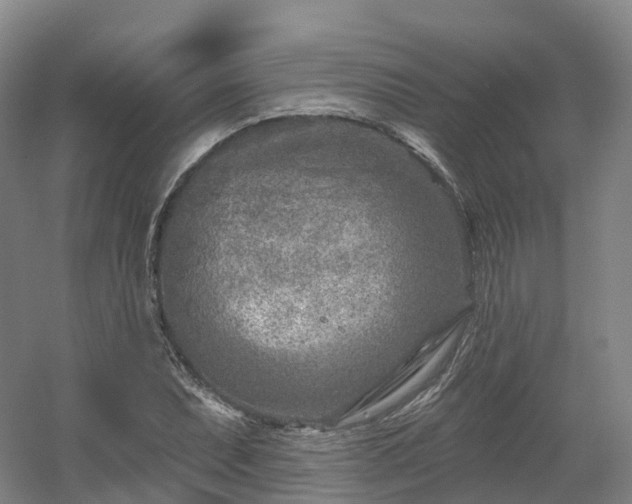 X0000054361071200508051523