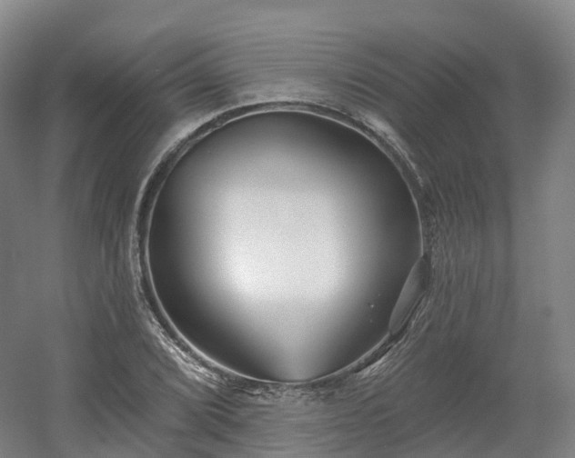 X0000054361072200508051523