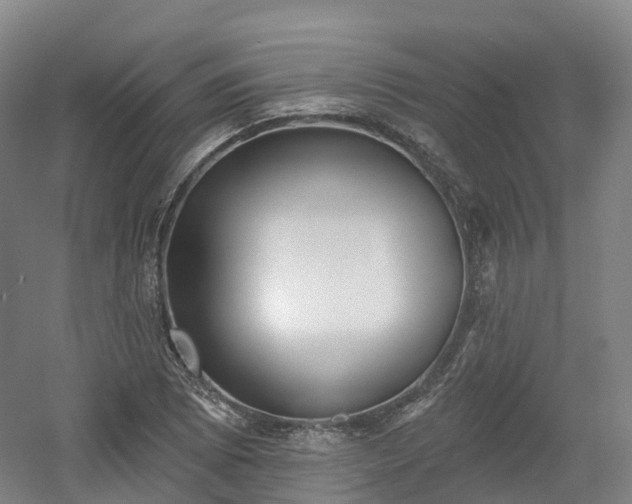 X0000054361073200508051523
